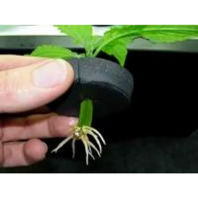 MPOT - COLLARE NEOPRENE PORTA TALEE NUTRICULTURE DIAMETRO 5CM