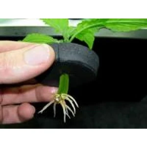 MPOT - COLLARE NEOPRENE PORTA TALEE NUTRICULTURE DIAMETRO 5CM