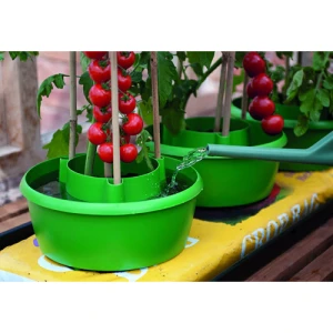 G167 - HALOS  SUPPORTO PER PIANTE CON INVASO PER IRRIGAZIONE 3 PZ GARLAND