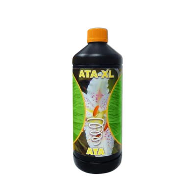 BAXL1 - ATAMI B'CUZZ- ATA-XL 1L