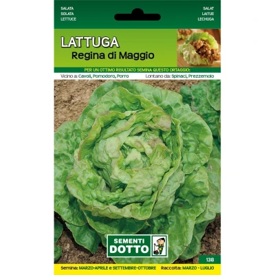 11110138 - LATTUGA REGINA DI MAGGIO ORTO BIOLOGICO DOTTO SEMENTI