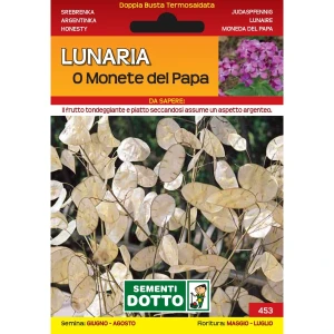 10100453 - LUNARIA O MONETE DEL PAPA DOTTO SEMENTI