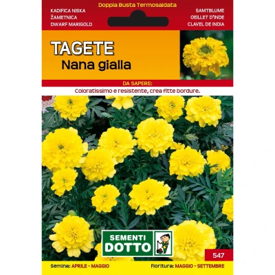 10100547 - TAGETE NANA GIALLA DOTTO SEMENTI