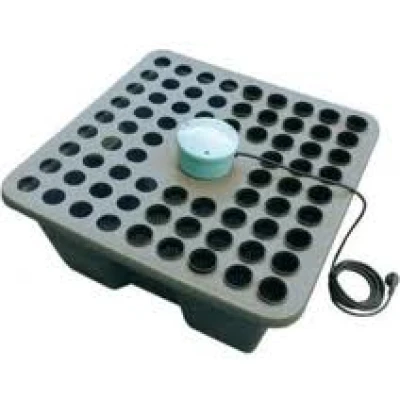 GRAF - RAINFOREST 72 VASI 12V GHE