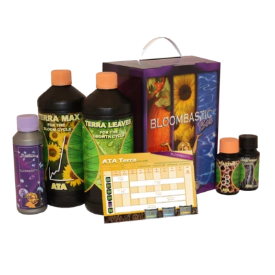 ATSK - ATA TERRA  BLOOMBASTIC BOX ATAMI B'CUZZ