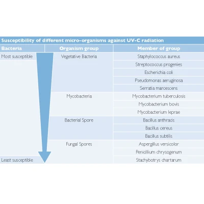 CLBULB - BULBO DI RICAMBIO PER CLEANLIGHT HOBBY UNIT 11W