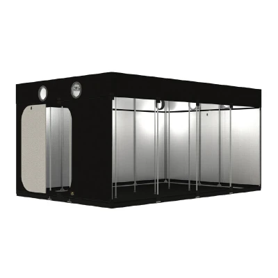 SECRET JARDIN - INTENSE R4.0