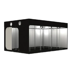 SECRET JARDIN - INTENSE R4.0