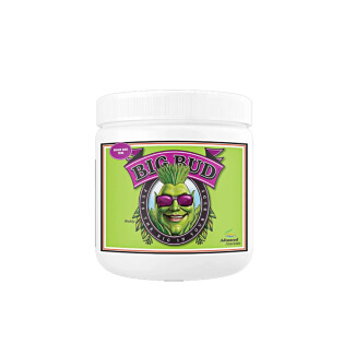 5000-36-6 - ADVANCED NUTRIENTS - BIG BUD POWDER | 500g