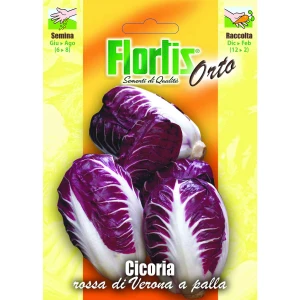 4355140 - FLORTIS | CICORIA ROSSA VERONA A PALLA