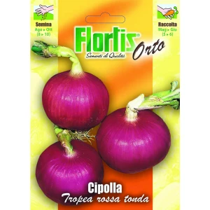 4355174 - FLORTIS | CIPOLLA TROPEA ROSSA