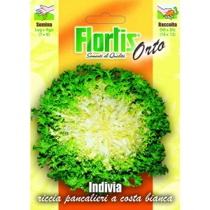 4355180 - FLORTIS | INDIVIA RICCIA PANCALIERI