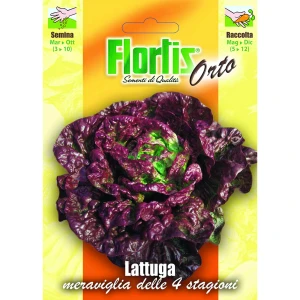 4355200 - FLORTIS | LATTUGA MERAVIGLIA 4 STAGIONI