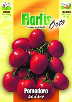 4355278 - FLORTIS | POMODORO PADANO