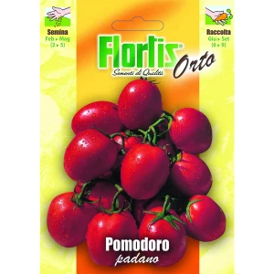 4355278 - FLORTIS | POMODORO PADANO