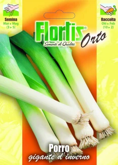 4355290 - FLORTIS | PORRO GIGANTE D'INVERNO