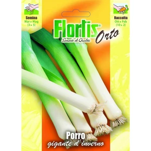 4355290 - FLORTIS | PORRO GIGANTE D'INVERNO