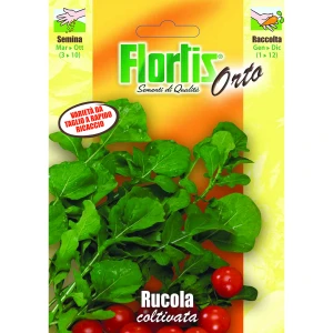 4355335 - FLORTIS | RUCOLA COLTIVATA