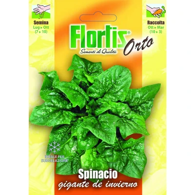 4355348 - FLORTIS | SPINACIO GIGANTE DE INVIERNO