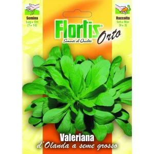 4355365 - FLORTIS | VALERIANA D'OLANDA