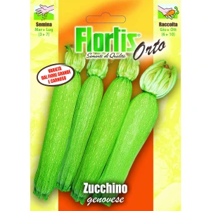 4355375 - FLORTIS | ZUCCHINO GENOVESE