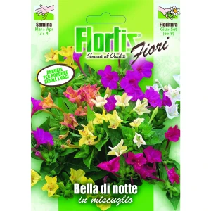 4351021 - FLORTIS | BELLA DI NOTTE MIX