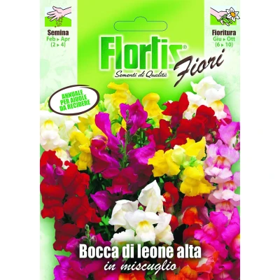 4351030 - FLORTIS | BOCCA DI LEONE MIX