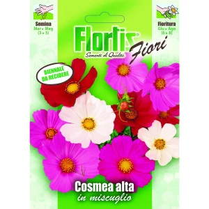 4351040 - FLORTIS | COSMEA ALTA MIX