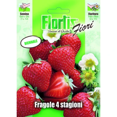 4351350 - FLORTIS | FRAGOLA 4 STAGIONI