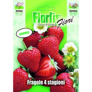 4351350 - FLORTIS | FRAGOLA 4 STAGIONI