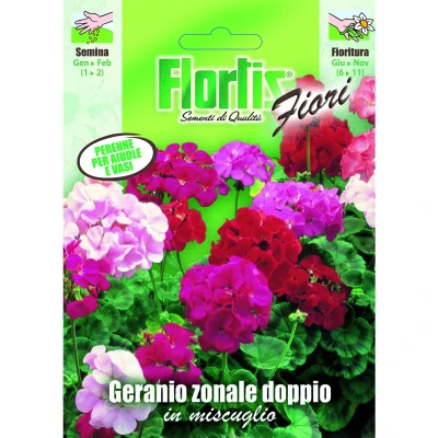 4351075 - FLORTIS | GERANIO ZONALE DOPPIO MIX