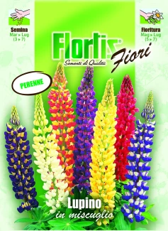 4351110 - FLORTIS | LUPINO MIX