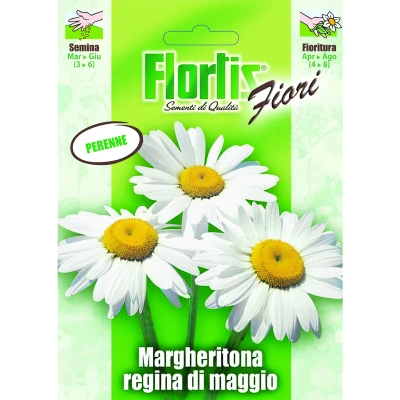4351115 - FLORTIS | MARGHERITONA REGINA DI MAGGIO