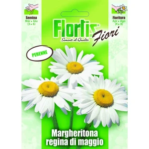 4351115 - FLORTIS | MARGHERITONA REGINA DI MAGGIO