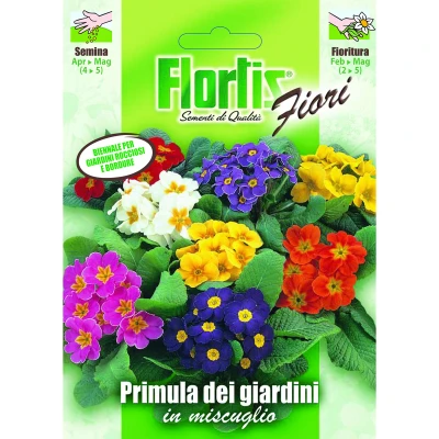 4351166 - FLORTIS | PRIMULA DEI GIARDINI MIX