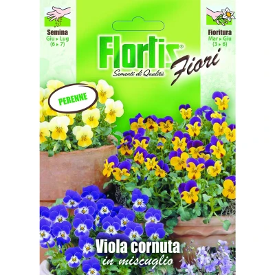 4351197 - FLORTIS | VIOLA CORNUTA MIX