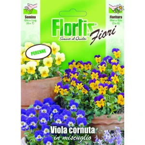 4351197 - FLORTIS | VIOLA CORNUTA MIX
