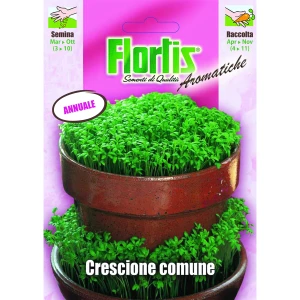 4357005 - FLORTIS | CRESCIONE COMUNE
