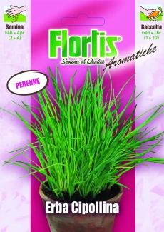 4357010 - FLORTIS | ERBA CIPOLLINA