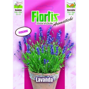 4357015 - FLORTIS | LAVANDA