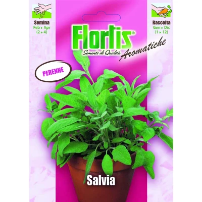 4357045 - FLORTIS | SALVIA