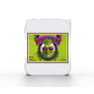 5050-20 - ADVANCED NUTRIENTS - BIG BUD | 5L