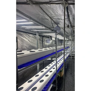 VF443562 - INDOORLINE - VERTICAL FARM 40 4.0 | 240x60x200h cm