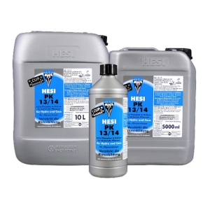 HESI - PK 13/14