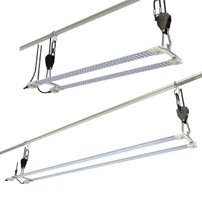 SECRET JARDIN - TNOLED GROWING