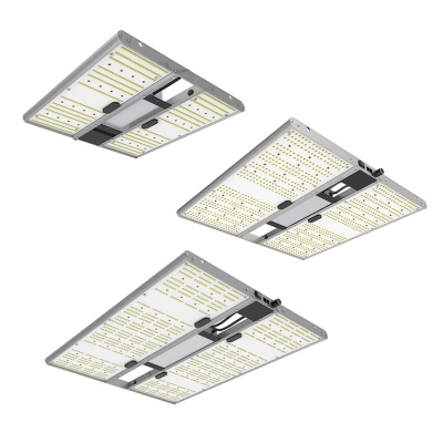 ORTOLED - QUANTUM BOARD EVO SAMSUNG (2.7 umol/J)