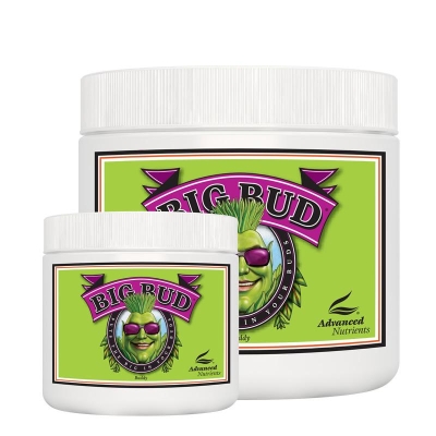 ADVANCED NUTRIENTS - BIG BUD POWDER