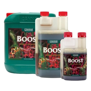 CANNA - BOOST ACCELLERATOR