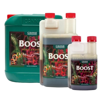 CANNA - BOOST ACCELLERATOR