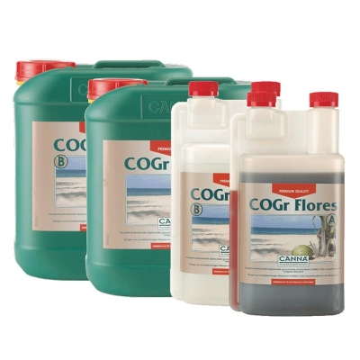 CANNA - COGR FLORES A+B